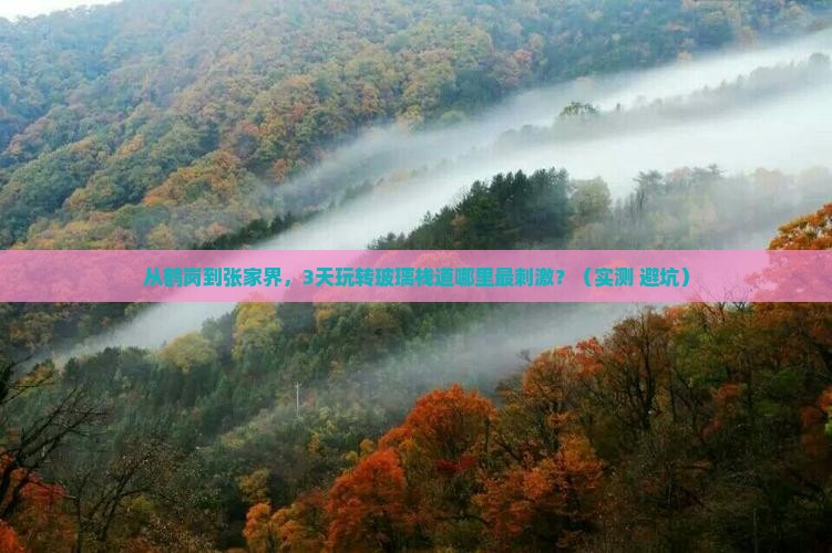鹤岗到张家界玻璃栈道哪里玩