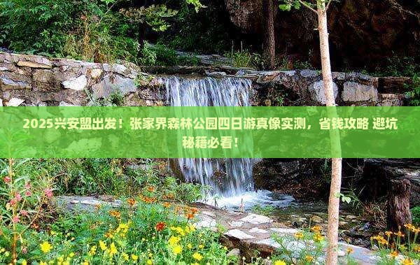 兴安盟去张家界森林公园四日游