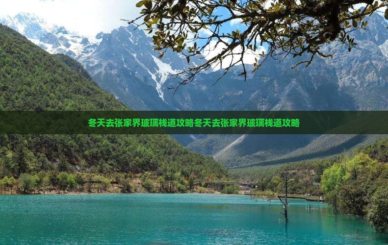 冬天去张家界玻璃栈道攻略