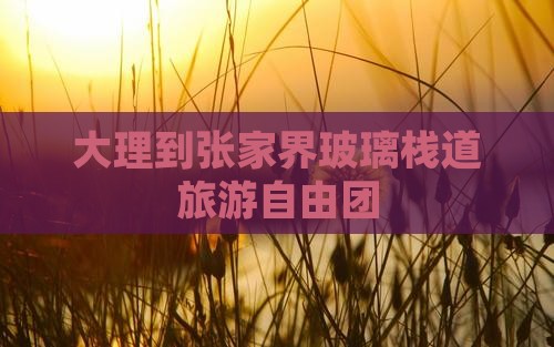 大理到张家界玻璃栈道自由团