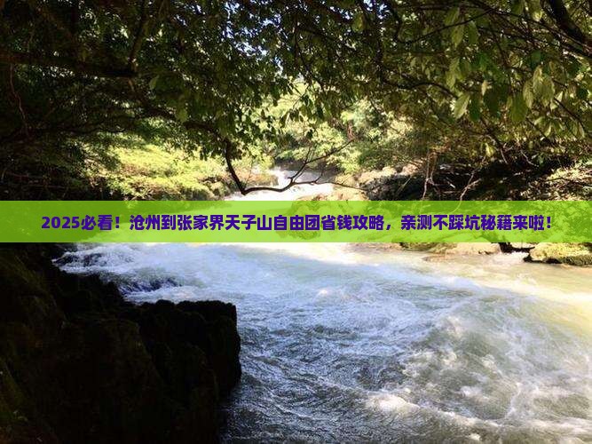 沧州到张家界天子山自由团