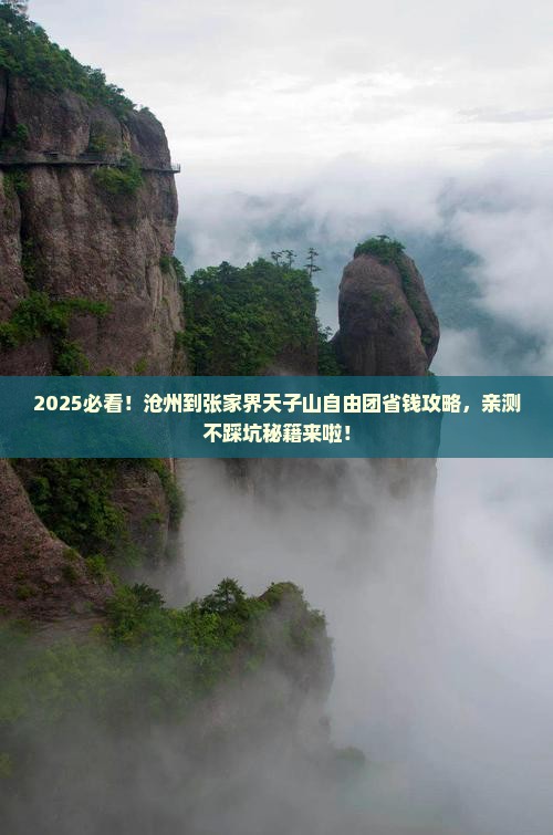 沧州到张家界天子山自由团