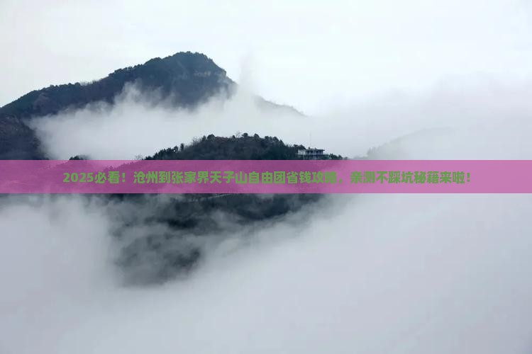沧州到张家界天子山自由团