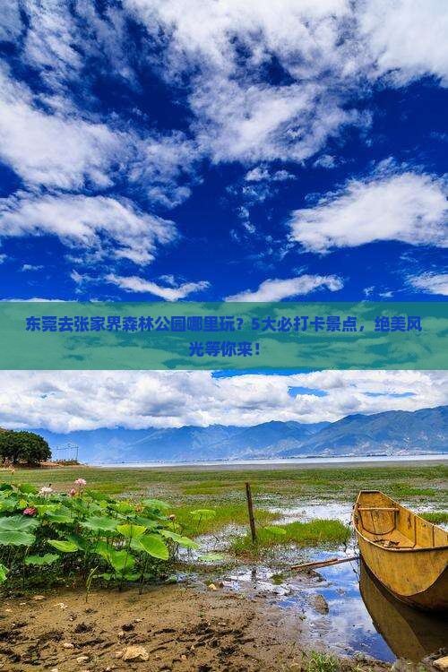 东莞去张家界森林公园哪里玩