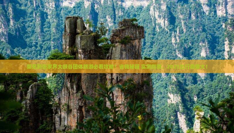 莱芜到张家界大峡谷团体旅游