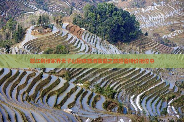 怒江到张家界天子山团体旅游