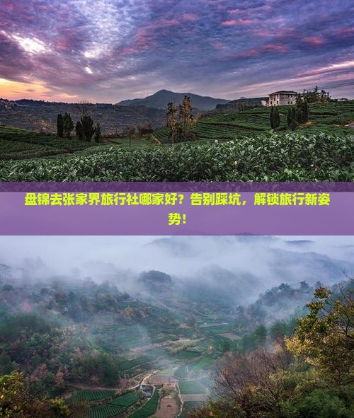 盘锦去张家界旅行社