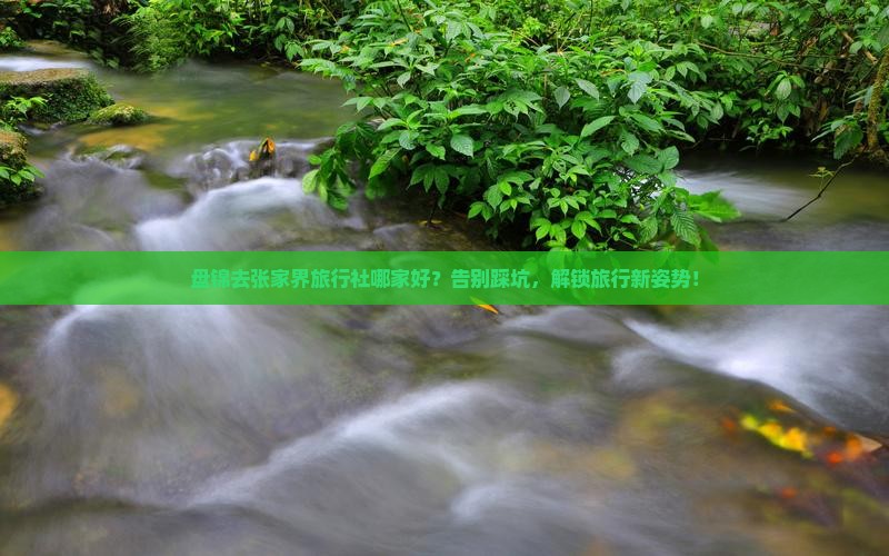 盘锦去张家界旅行社