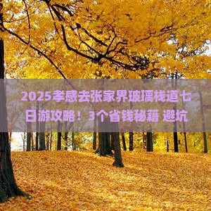 孝感去张家界玻璃栈道七日游