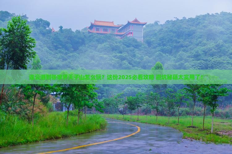 连云港到张家界天子山哪里玩