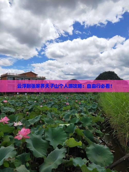 云浮到张家界天子山个人游