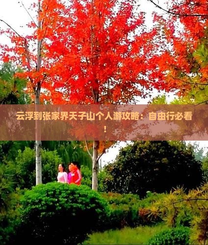 云浮到张家界天子山个人游