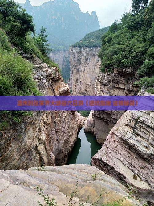 温州到张家界大峡谷六日游
