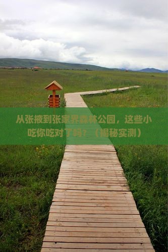 张掖到张家界森林公园旅游小吃