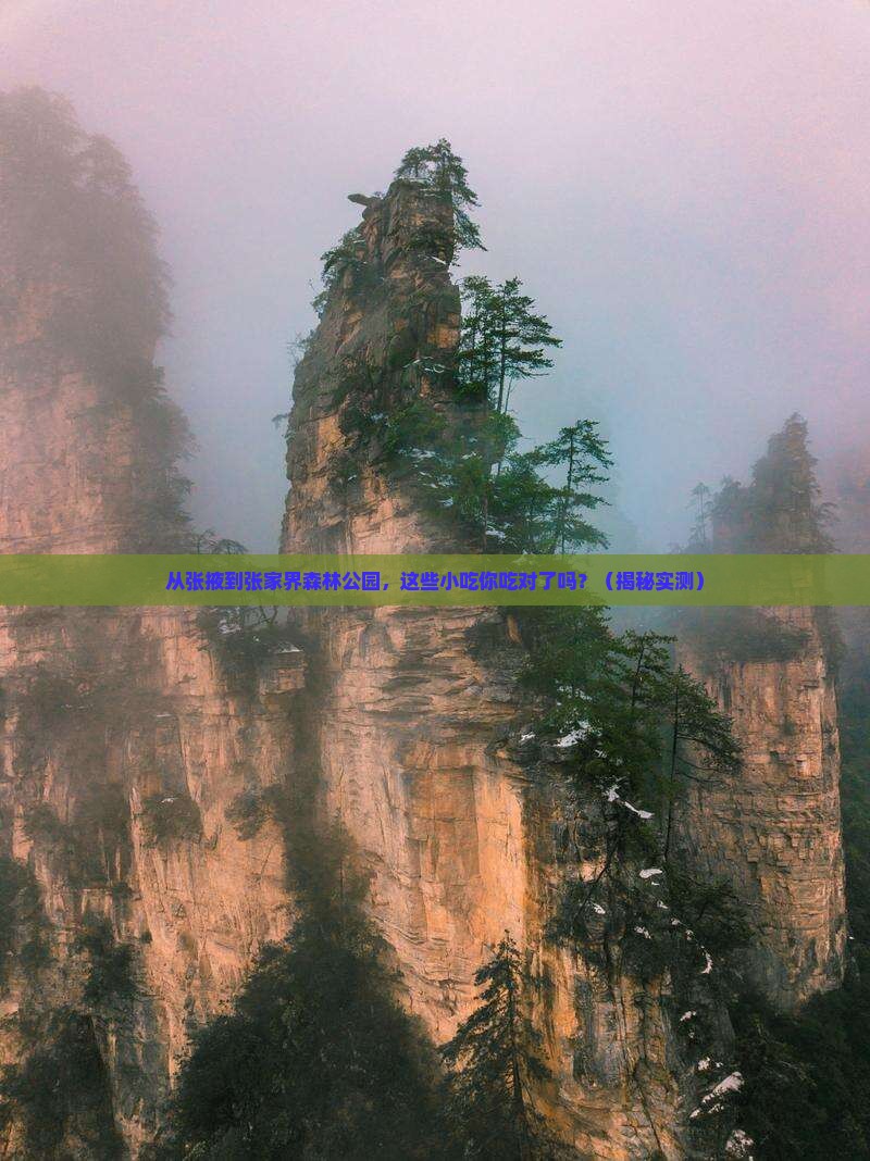 张掖到张家界森林公园旅游小吃