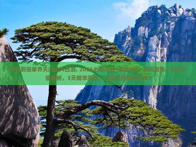 青岛到张家界天门山六日游