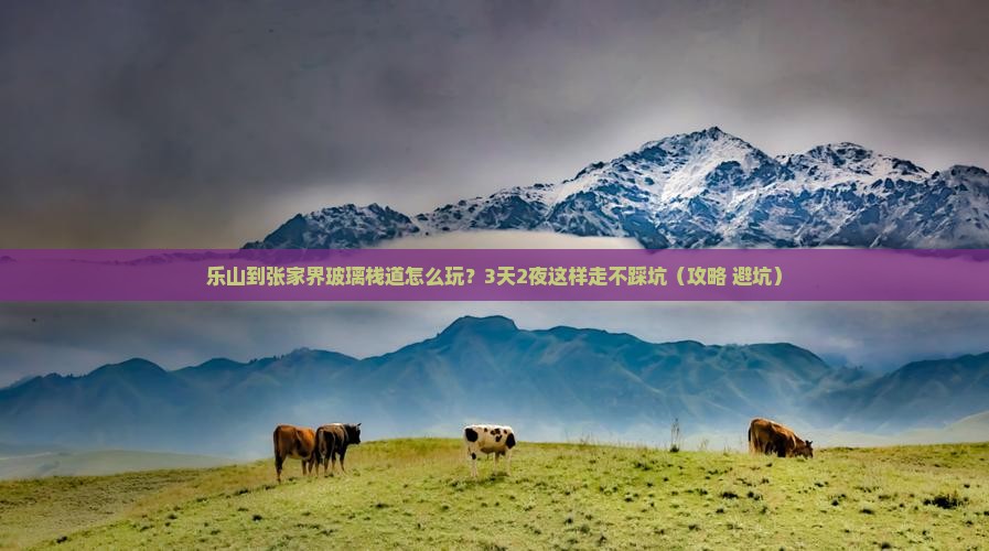 乐山到张家界玻璃栈道个人游
