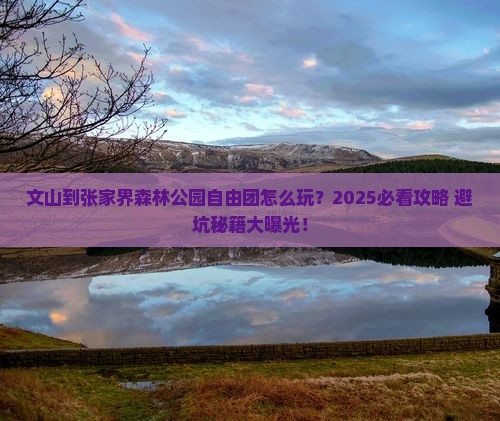 文山到张家界森林公园自由团 文山到张家界森林公园自由团