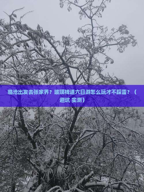 临沧到张家界玻璃栈道六日游 临沧到张家界玻璃栈道六日游