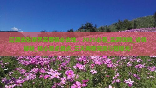 辽源去张家界芙蓉镇必去地