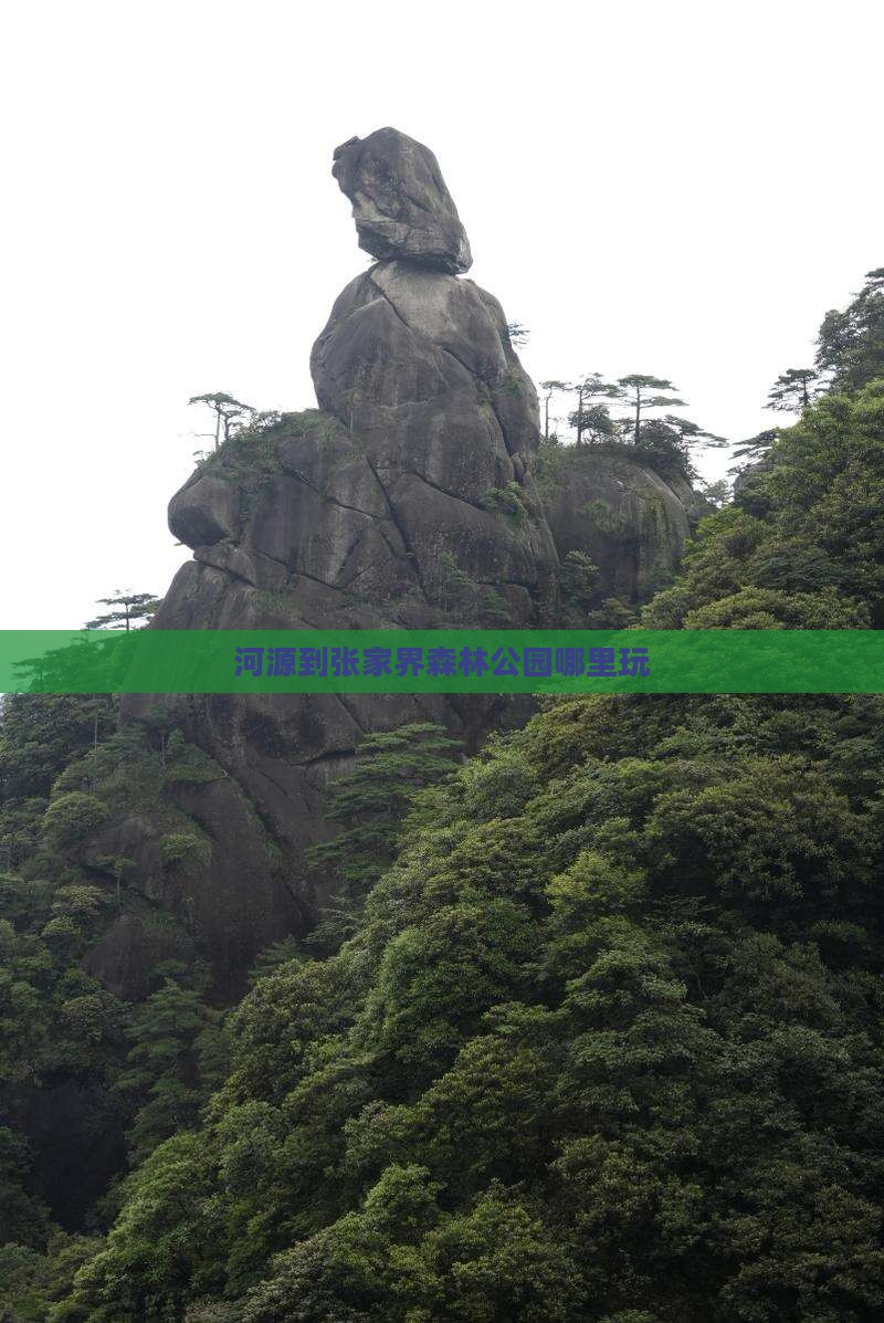 河源到张家界森林公园哪里玩