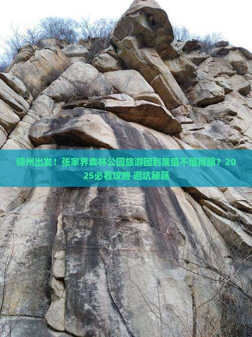 锦州到张家界森林公园大型旅游团