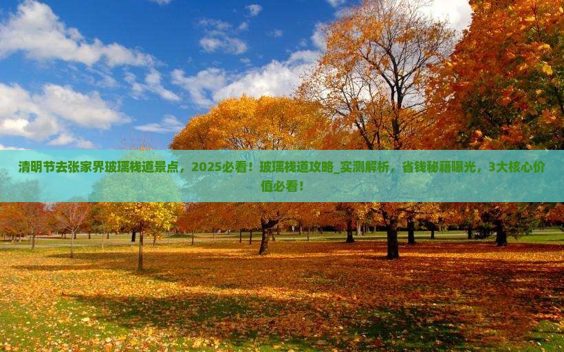 清明节去张家界玻璃栈道景点