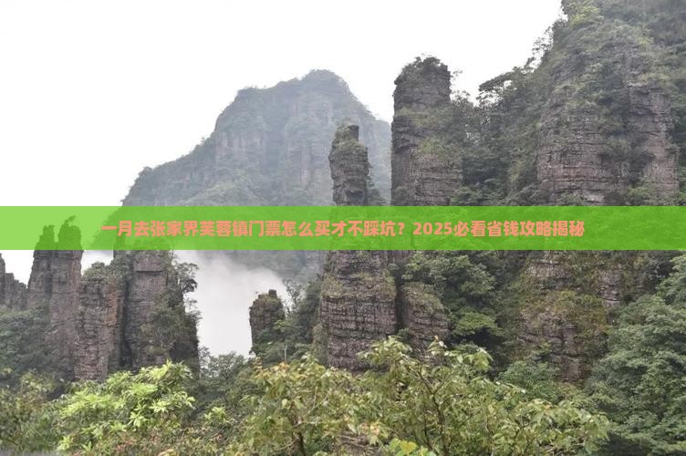 一月去张家界芙蓉镇门票