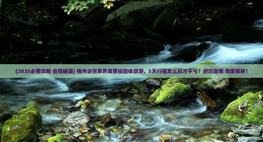 梧州去张家界芙蓉镇团体旅游