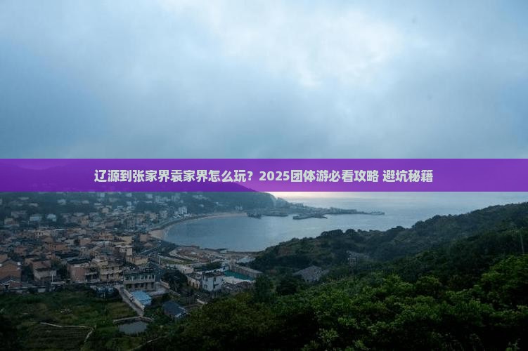 辽源到张家界袁家界团体旅游