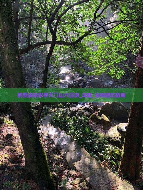 鹤壁去张家界天门山六日游