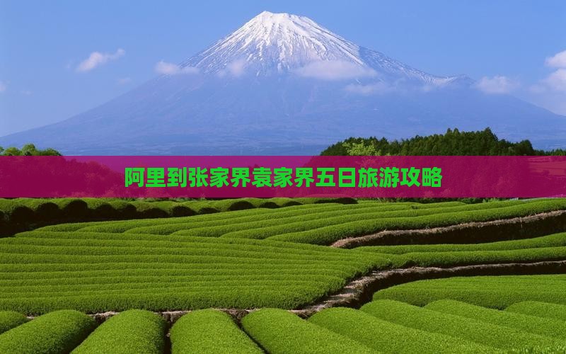 阿里到张家界袁家界五日游