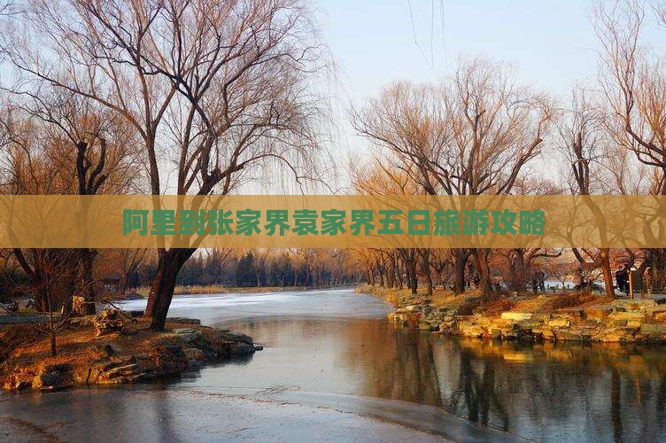 阿里到张家界袁家界五日游