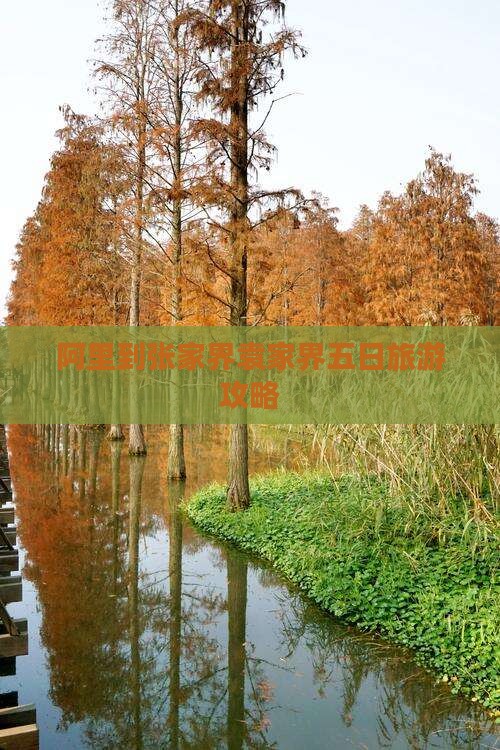 阿里到张家界袁家界五日游