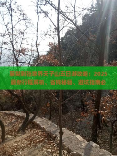 襄樊到张家界天子山五日游