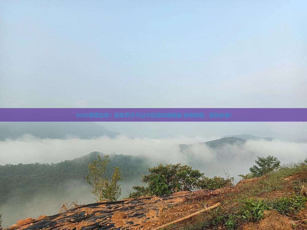 湘潭到张家界天子山六日游