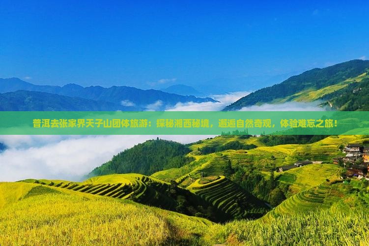普洱去张家界天子山团体旅游
