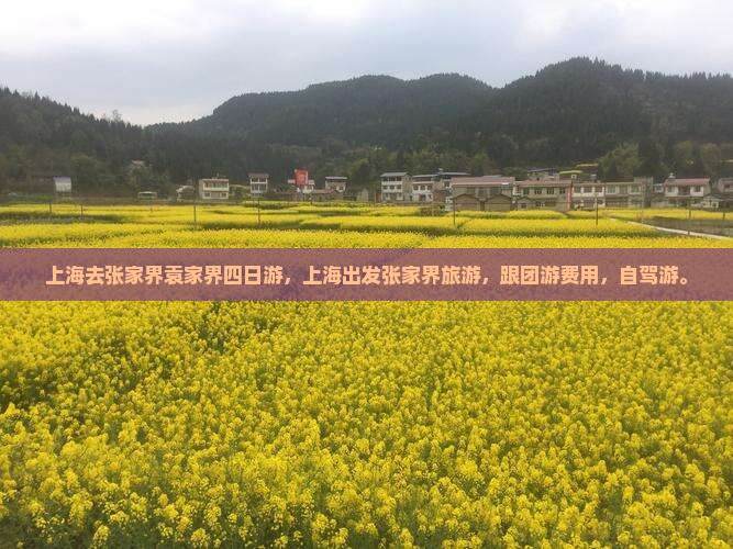 上海去张家界袁家界四日游