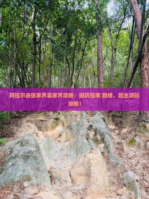 阿拉尔去张家界袁家界攻略