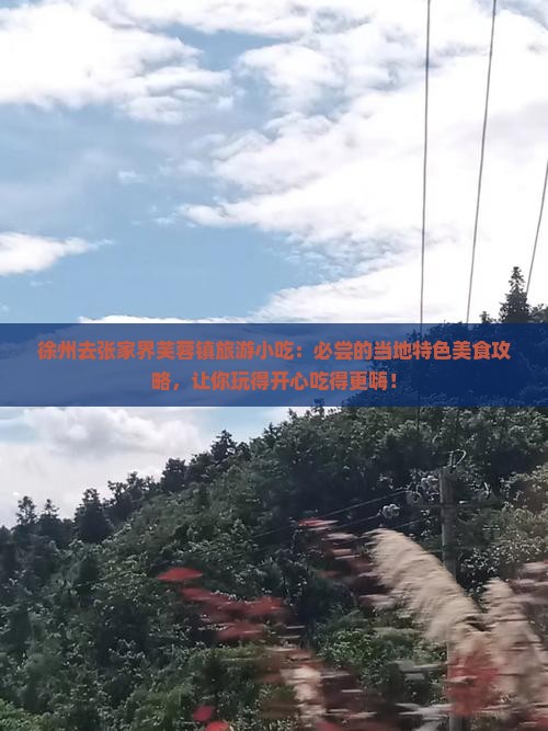 徐州去张家界芙蓉镇旅游小吃 徐州去张家界芙蓉镇旅游小吃