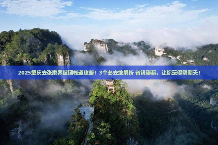肇庆到张家界玻璃栈道必去地