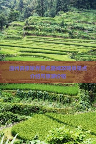 温州去张家界景点