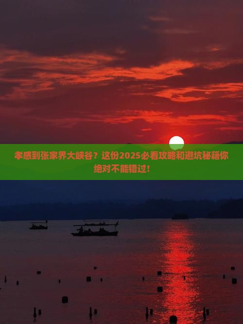 孝感到张家界大峡谷景点