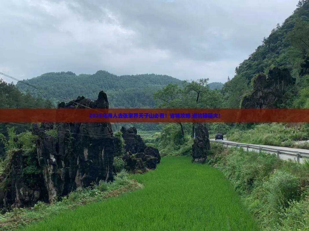 乌海市去张家界天子山旅行社