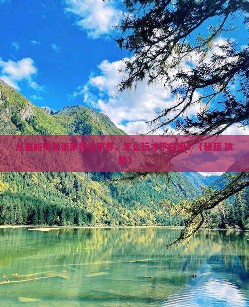 嘉峪关去张家界袁家界景点