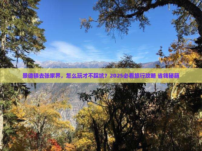 景德镇去张家界旅行社