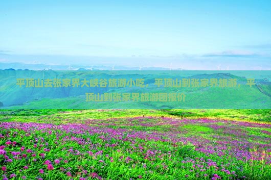 平顶山去张家界大峡谷旅游小吃