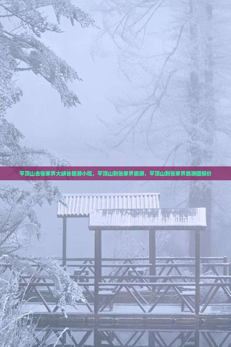 平顶山去张家界大峡谷旅游小吃