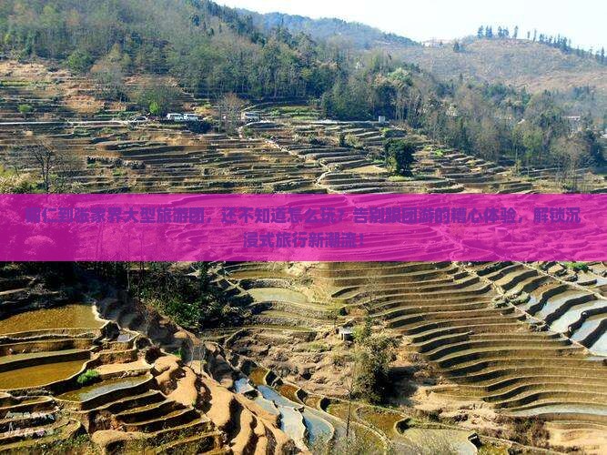 铜仁到张家界大型旅游团