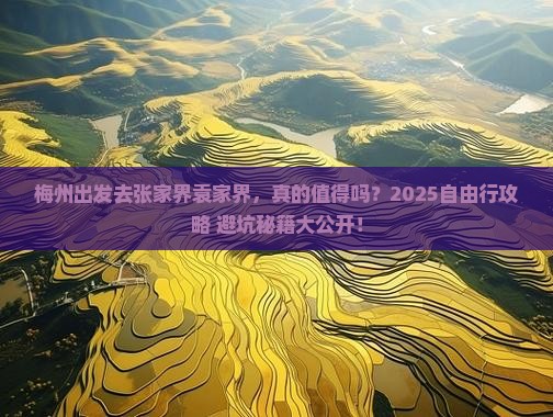 梅州到张家界袁家界自由行